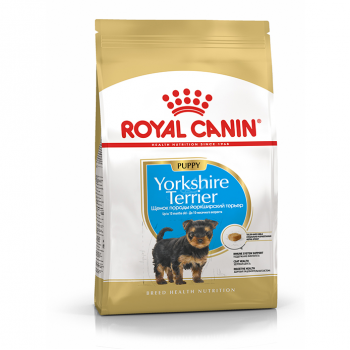 Роял Йоркширский Терьер Паппи 1,5кг